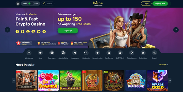 winz casino website screen new