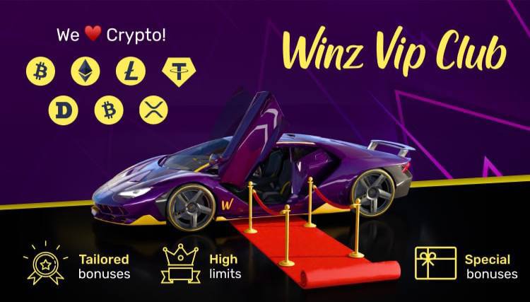 Winz.io VIP Program