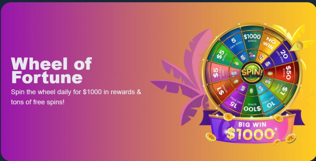 Spin the wheel daily for $1000 in rewards & tons of free spins!